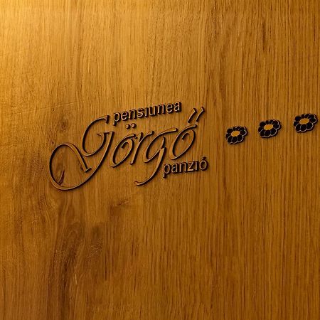 Pensiunea Görgő Panzió Sfântu-Gheorghe Kültér fotó